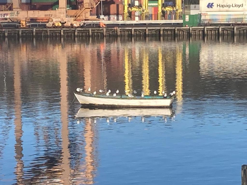Blackrock Carole Ville Guesthouse 5* Cork